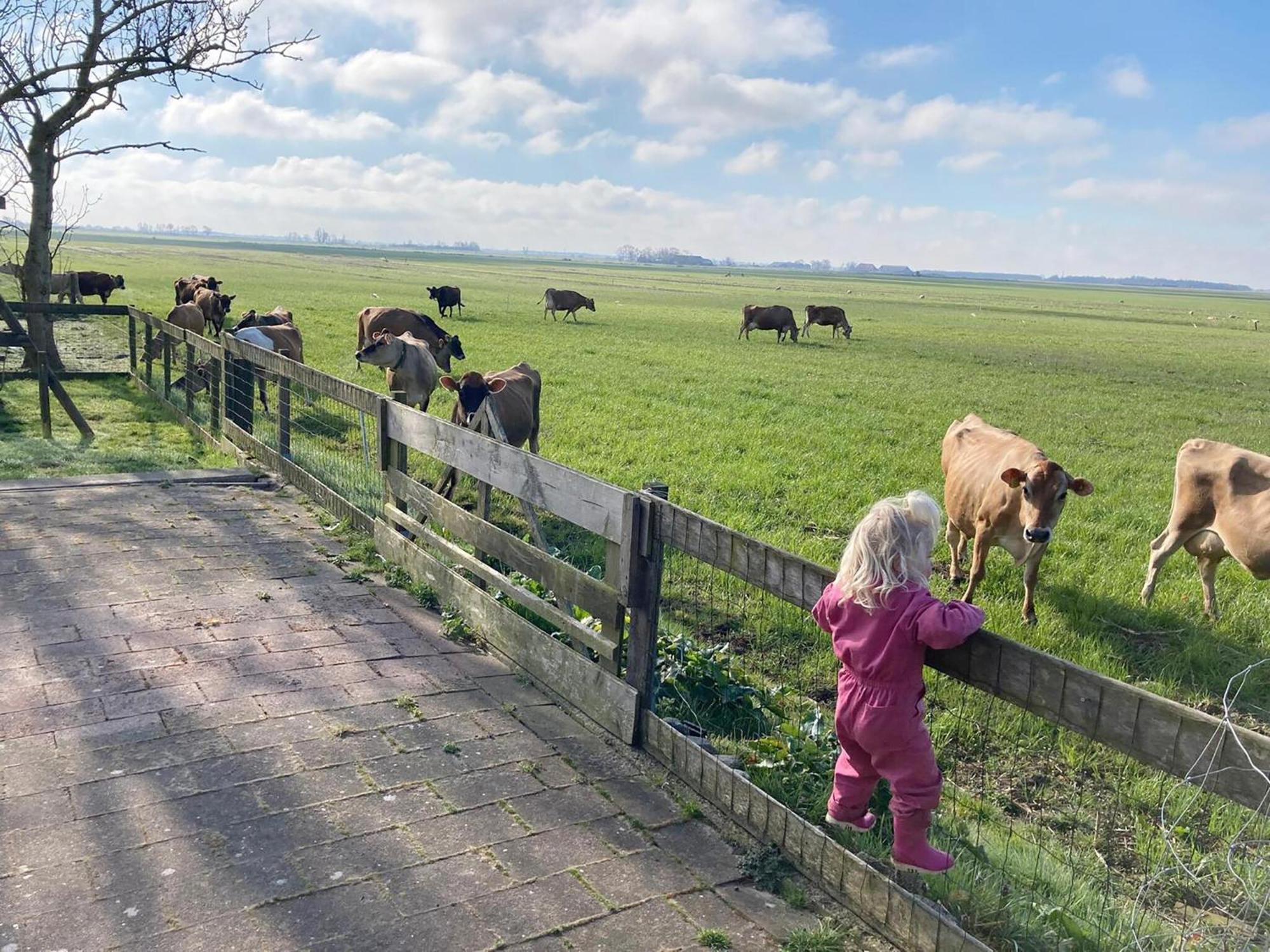 Tureluur Villa Tjerkgaast Buitenkant foto